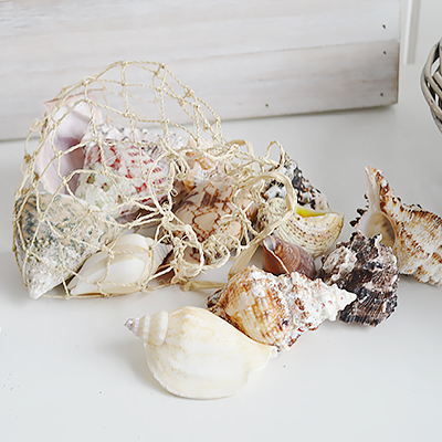 Net bag of shells for coastal decor