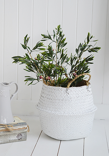 Olive tree branches in Kingston white basket