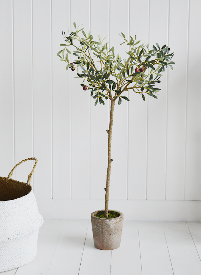 A photo to show the entire Realisitic artificial olive tree with the rustic pot in a pot