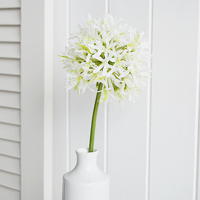 White Allium Stem for New England style homes and interiors in the city