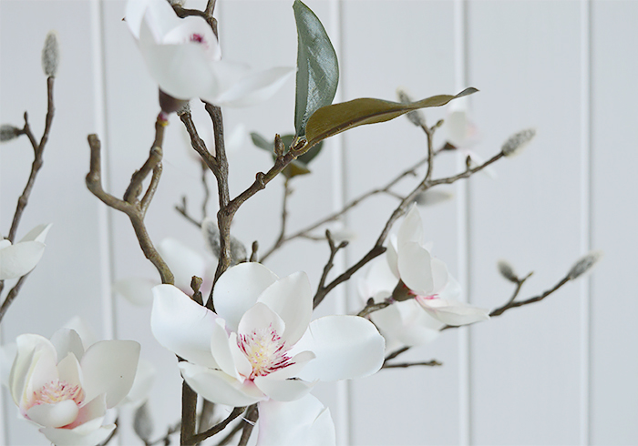 Realistic Magnolia branches with leaves and buds. A photograph to show the detail