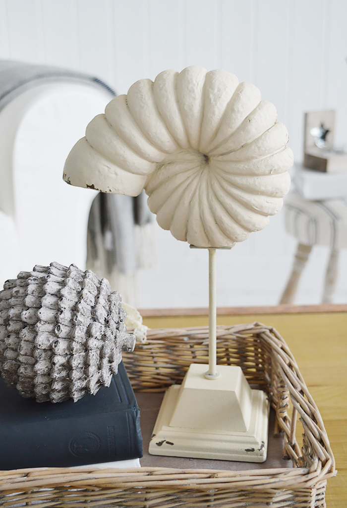 Decorative Shell on stand for coffee table decor in a coastal living room from The White Lighthouse Furniture