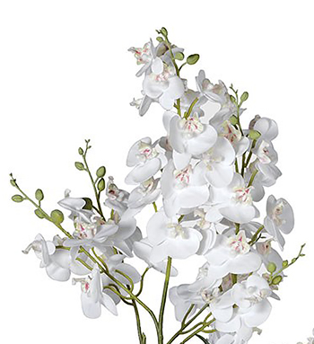 Artificail White Orchids large display