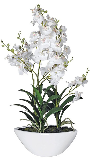 Large artificial white orchids in pot for display