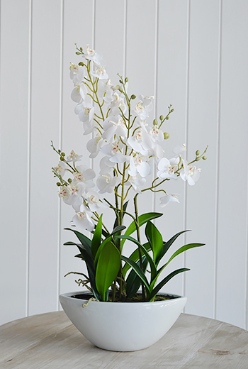 artificial white orchids in white ceramic pot, Lovely dispay for the hall