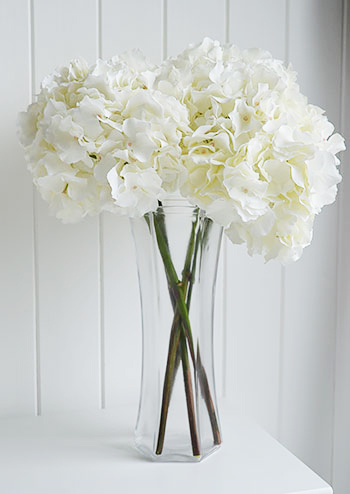 Gorgeous white Hydrangea will add so much interest in an empty corner