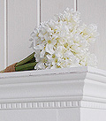White Hyacinths