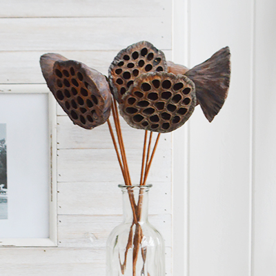 Dried Bunch of lotus flowers to decorate your coastal home and furniture