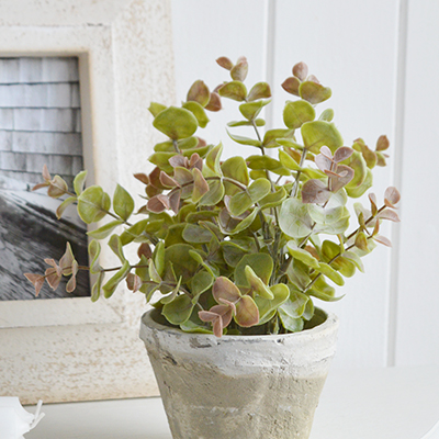 Artificial Eucalyptus sprig with white flowers. Simple greenery to add to New England styled interiors for coastal, country, city and farmhouse homes