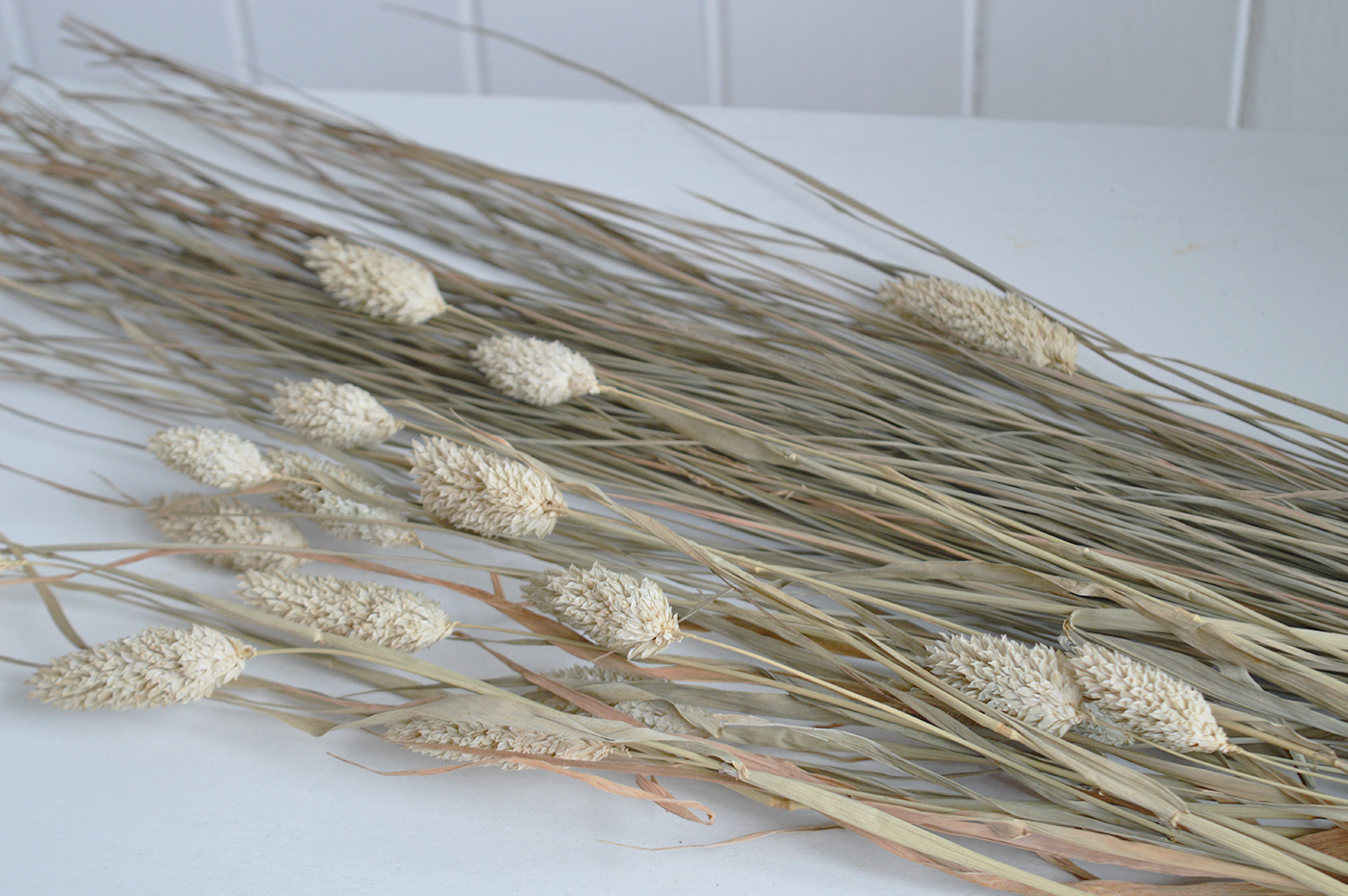 Add organic texture to shelves, console tables, coffee tables or dining spaces with these beautiful natural dried grasses.