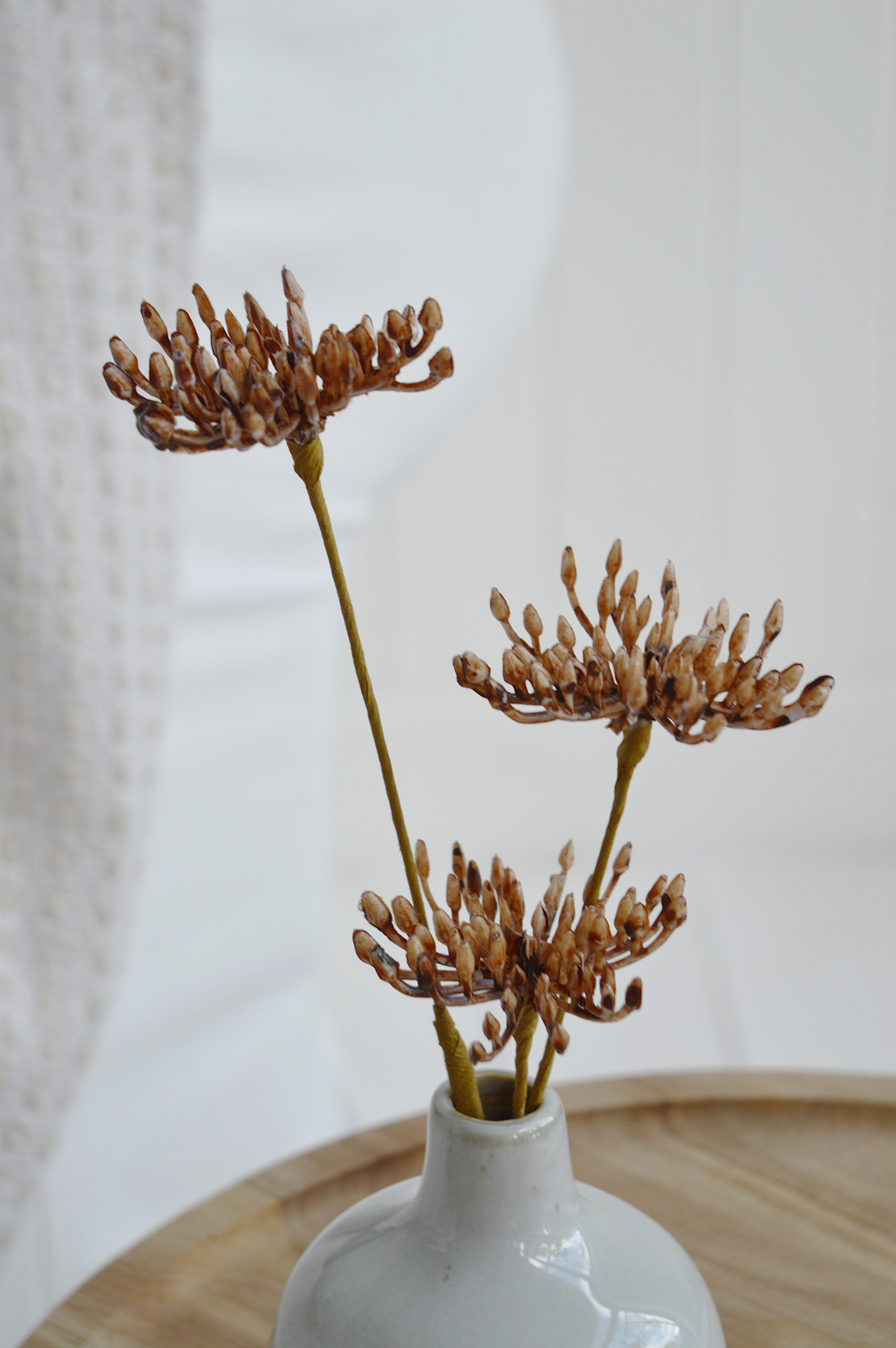 Coastal cottage interior featuring dried Queen Anne’s lace accent