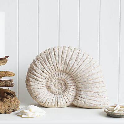 Luxury Chic Coastal nautical decorative accessories for the home by the sea. Large Decorative Shell