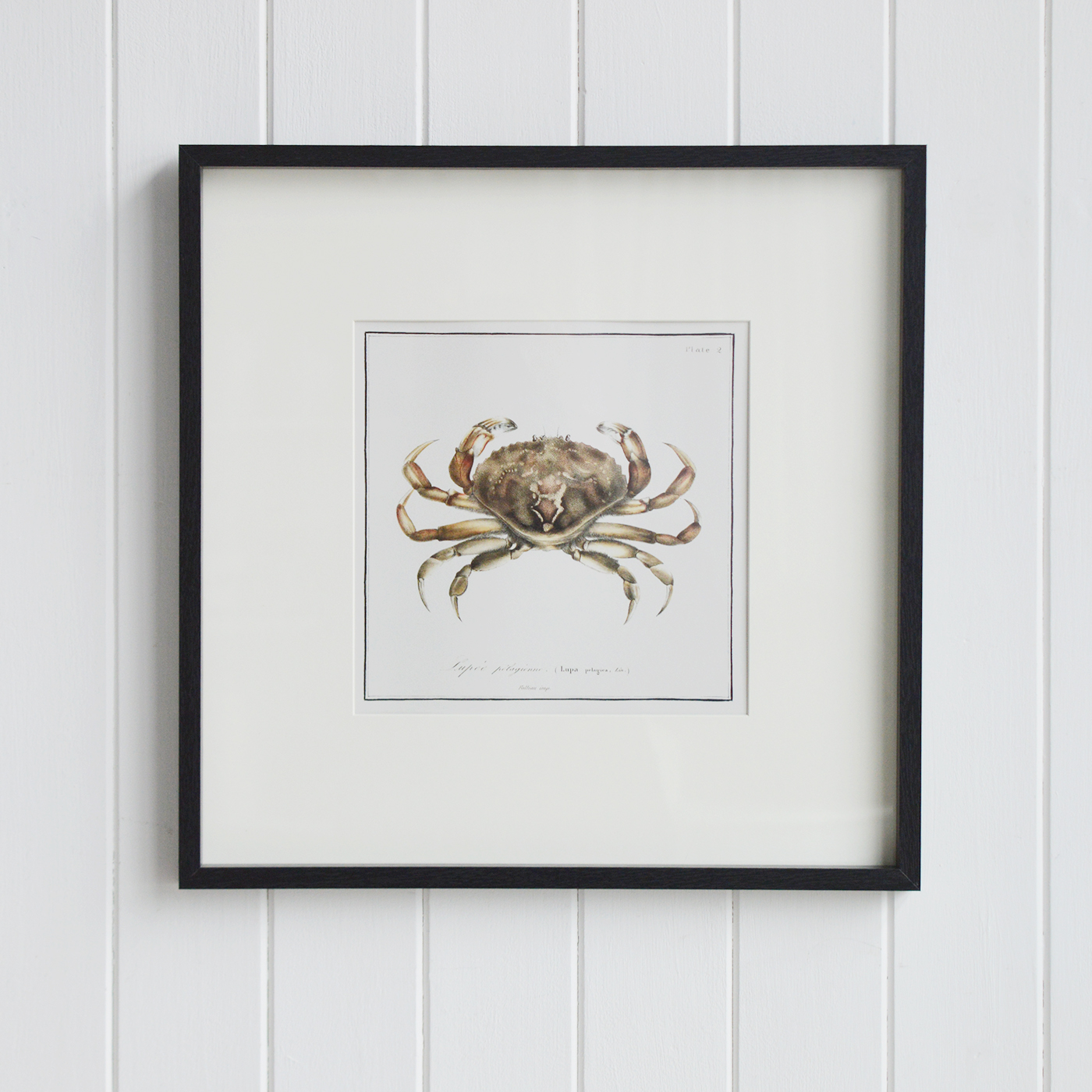 Coastal Wall Decor - Framed Prints for beach homes, Hamptons and Coastal homes and interiors