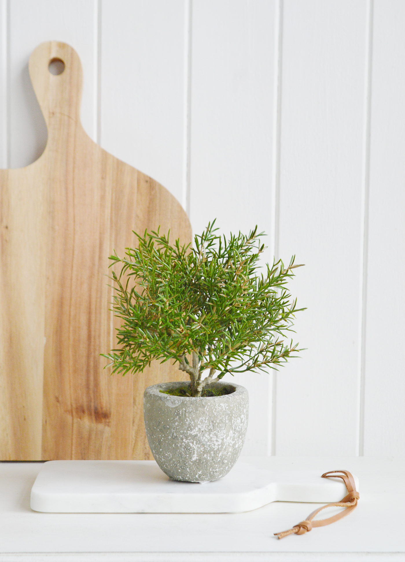 Artificial greenery small potted Rosemary Bush  for styling New England style  interiors. Farmhouse, country, coastal and city homes