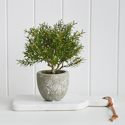 Artificial greenery small potted Rosemary Bush  for styling New England style  interiors. Farmhouse, country, coastal and city homes