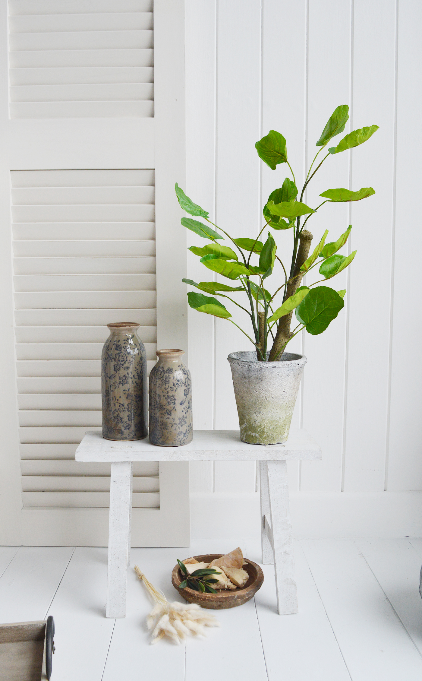 White Furniture and accessories for the home. Artificial greenery Chinese Money Plant in Terracotta Pot 