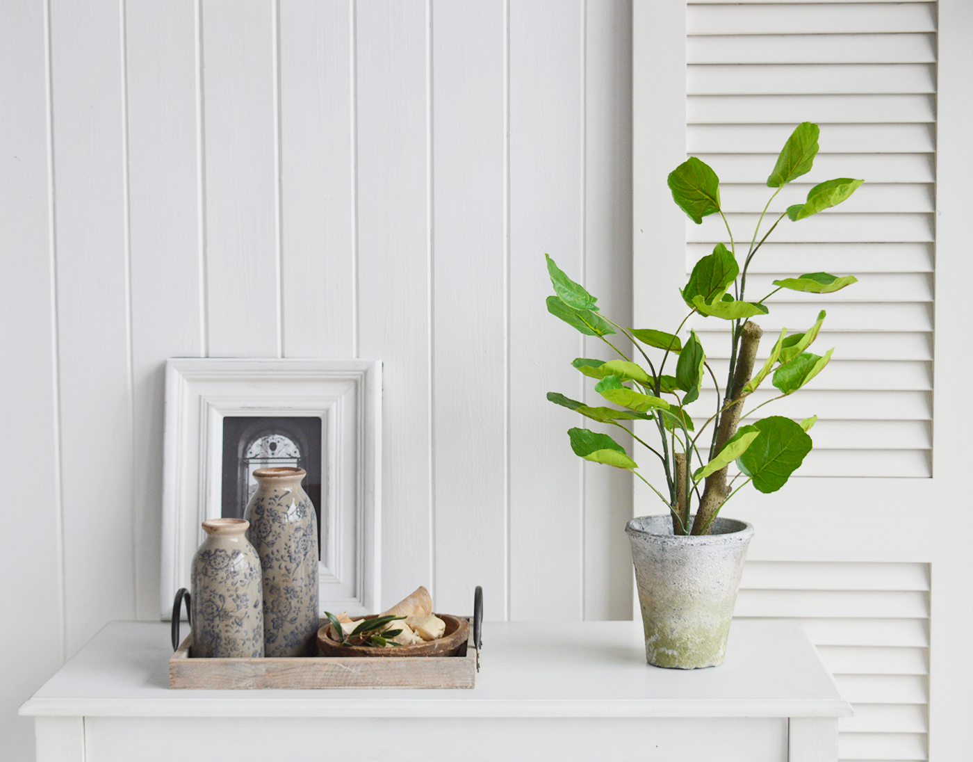 White Furniture and accessories for the home. Artificial greenery Chinese Money Plant in Terracotta Pot 