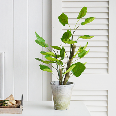 White Furniture and accessories for the home. Artificial greenery Chinese Money Plant in Terracotta Pot 