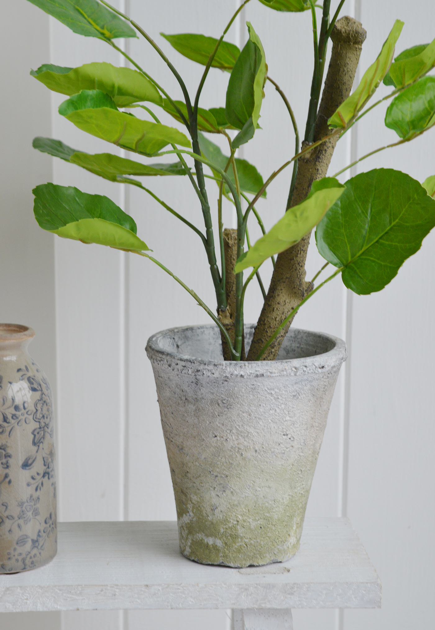 White Furniture and accessories for the home. Artificial greenery Chinese Money Plant in Terracotta Pot 