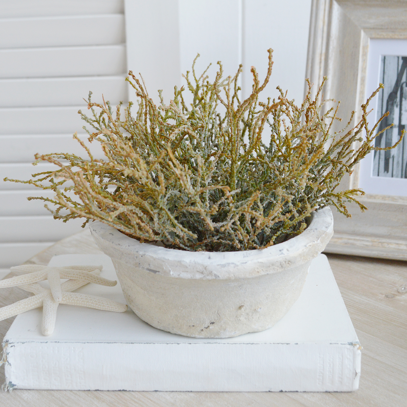 Faux cotton lavender to style a coastal interior on a cofee table or console