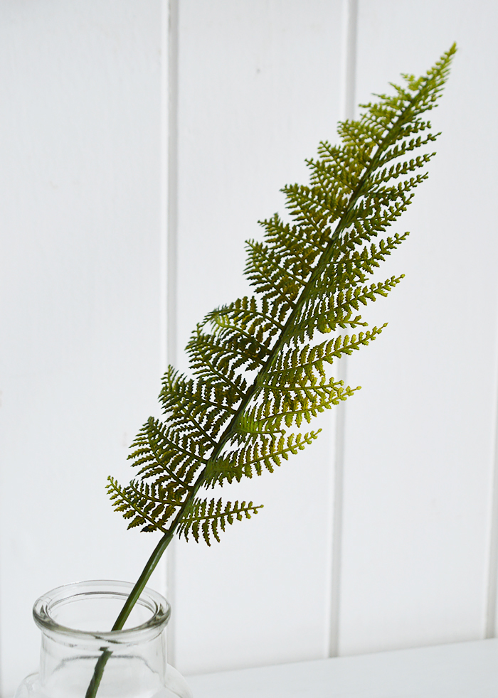Realistic simple fern leaf in our Newbury bud vase