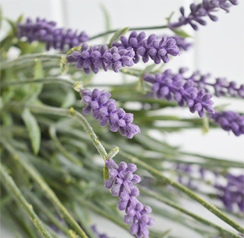 Artificial Lavender stalks