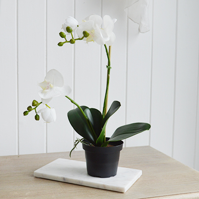 A very realistic, natural and beautiful looking white Orchid  for adding greenery to your home. 							  Ideal as a centre piece on a table or can be hung from a wall.