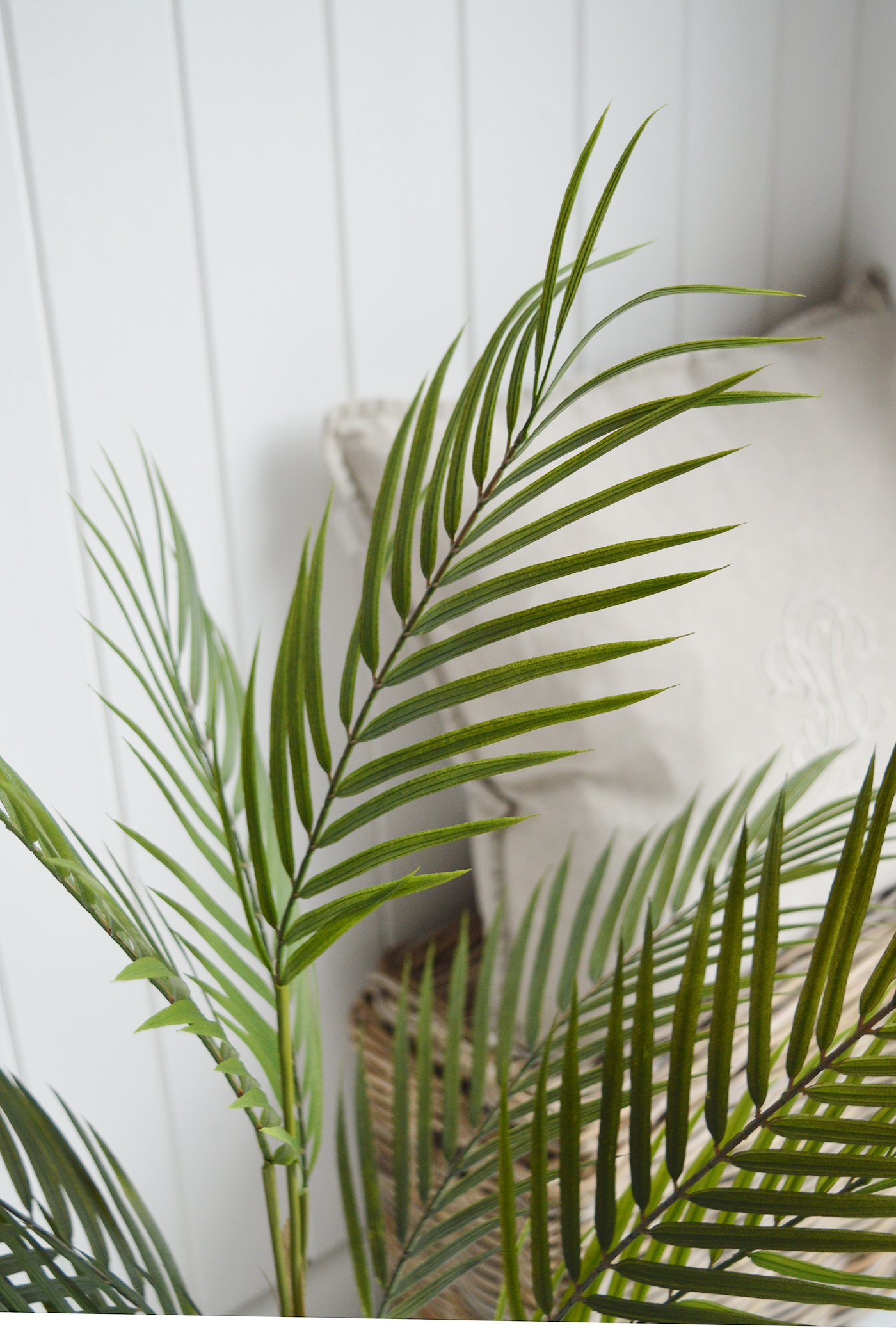Artificial green palm plant for New England country and coastal furniture and homne interiors