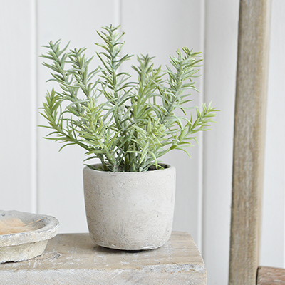 Artificial greenery small potted Rosemary Bush in cement pot for styling New England style  interiors. Farmhouse, country, coastal and city homes