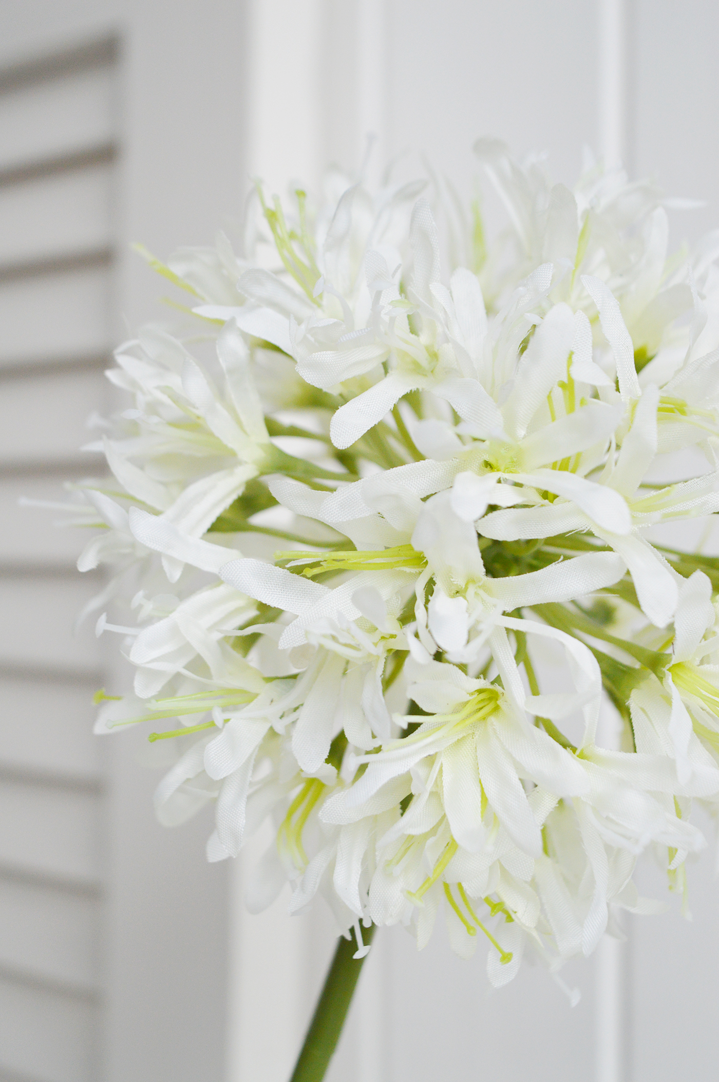 Artificial White Allium - White Flowers and Greenery