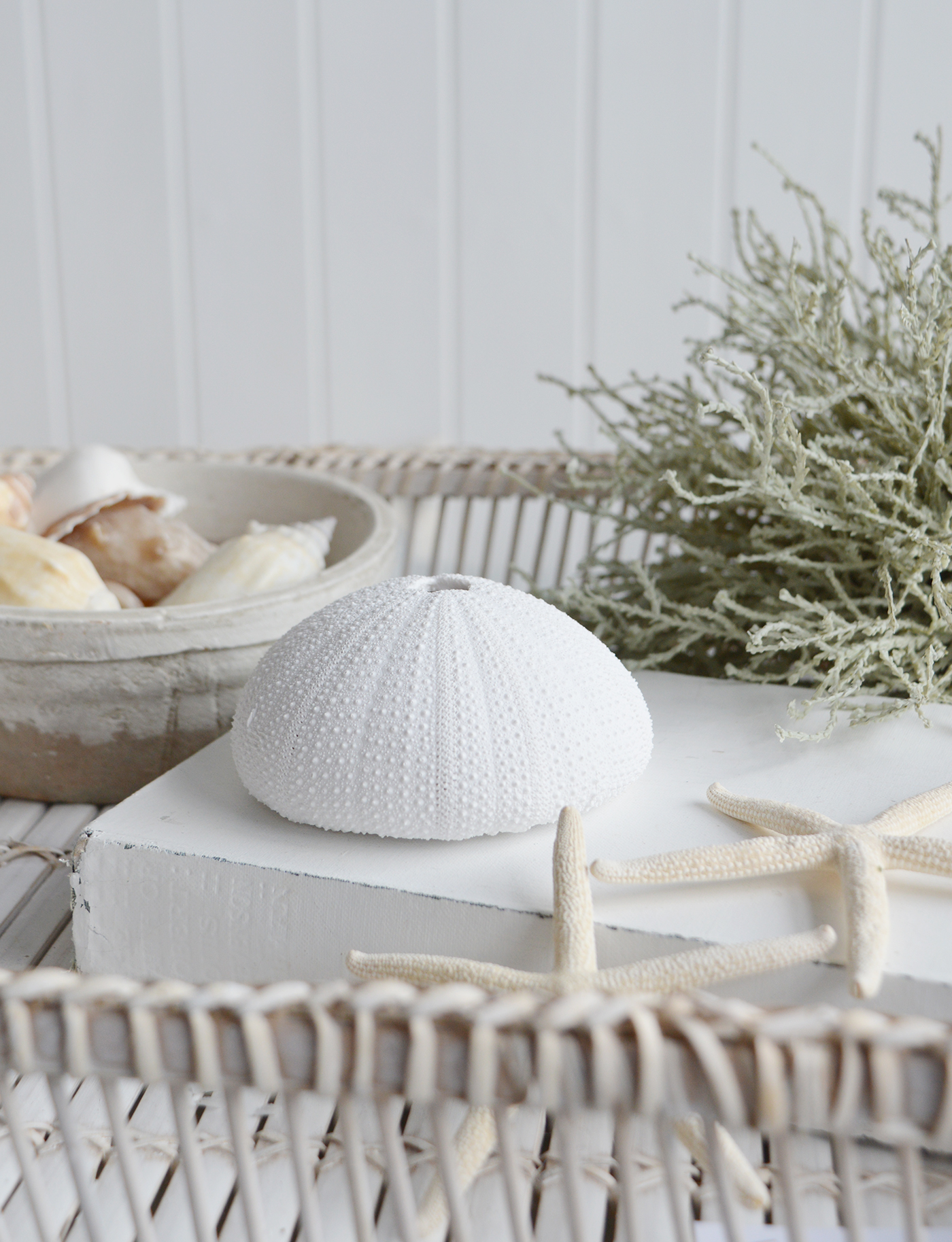 Coastal interior decor... a white faux urchin shell to display  and style console tables, shelves and coffee tables