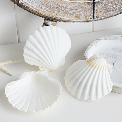 White Furniture and accessories for the home. Decorative shells - Coffee Table, Shelf and Console styling for New England, Country Farmhouse and coastal home interior decor