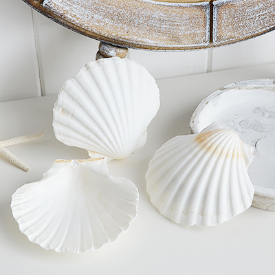 White Furniture and accessories for the home. Decorative shells - Coffee Table, Shelf and Console styling for New England, Country Farmhouse and coastal home interior decor