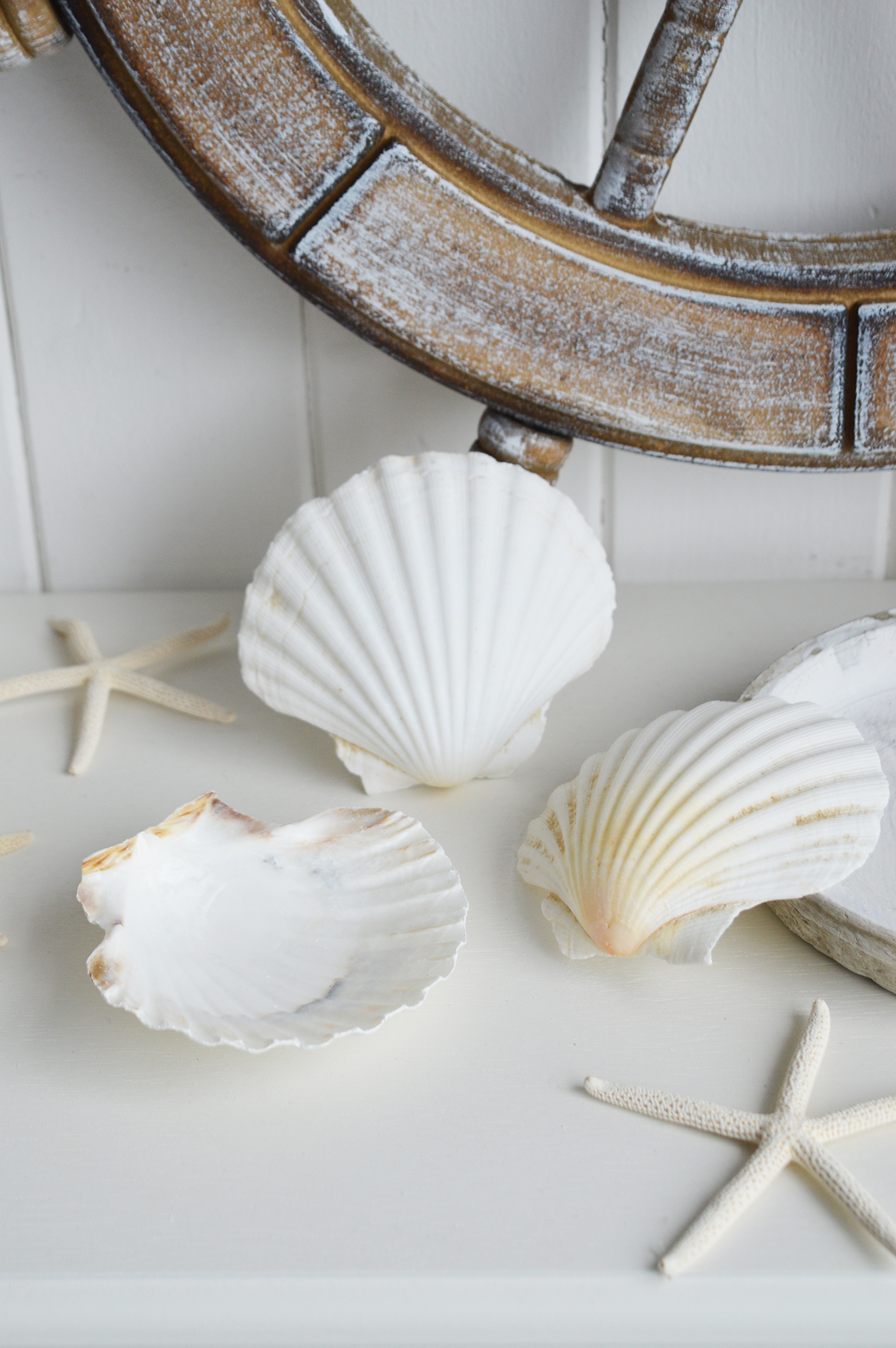 Decorative Starfish and Shells - Coastal Nautical Interior design  Accessories