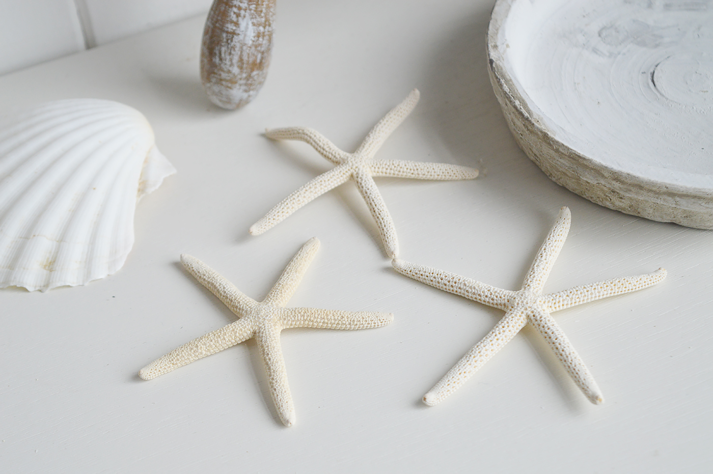 Decorative Starfish and Shells - Coastal Nautical Interior design  Accessories