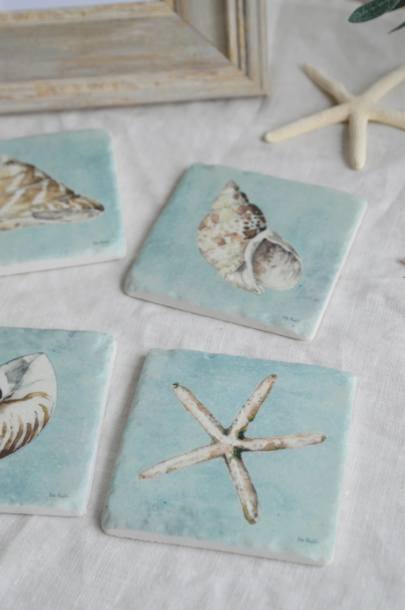 Hamptons Beach House Coastal Home Interiors and Furniture - A set of 4 shell Coasters