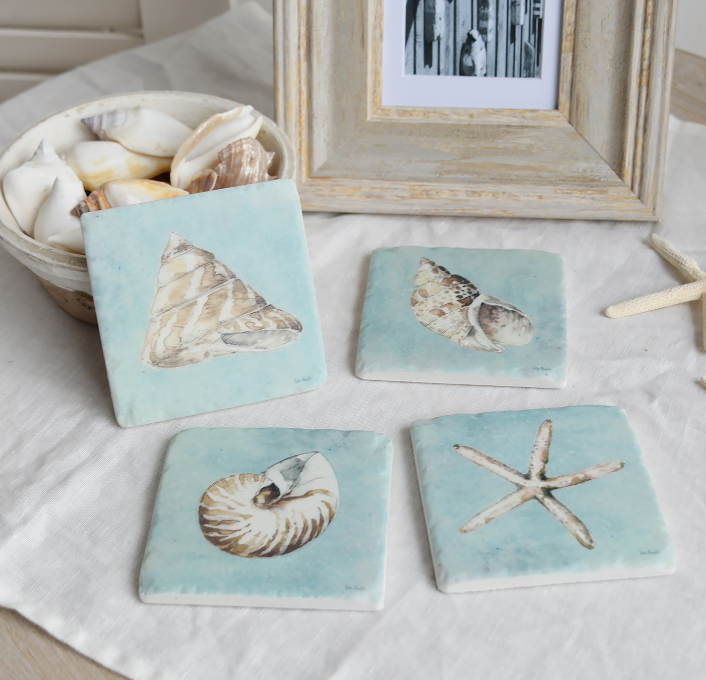 Hamptons Beach House Coastal Home Interiors and Furniture - A set of 4 shell Coasters