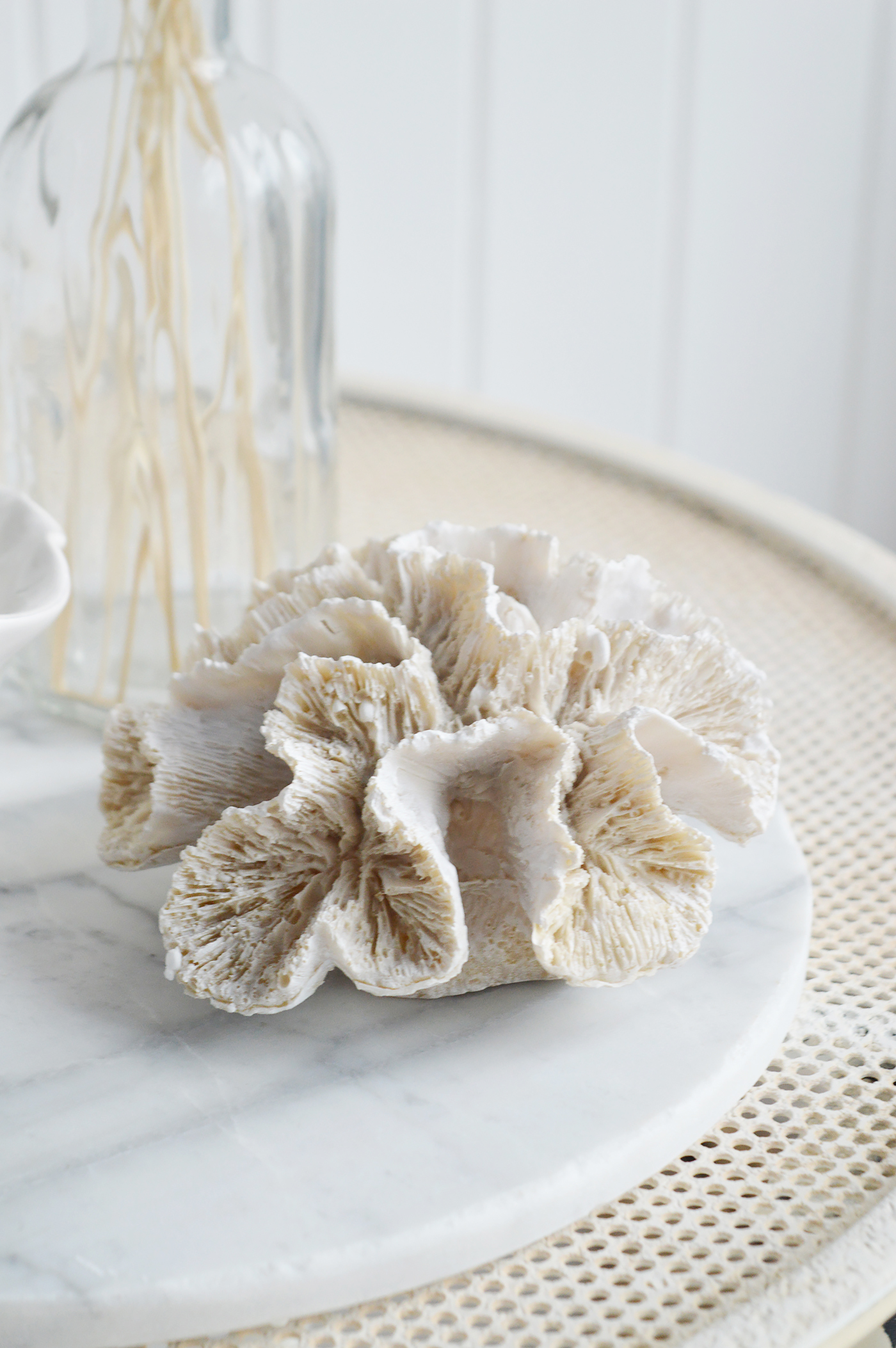 Decorative Artificial Faux White Coral - Coffee Table Decor