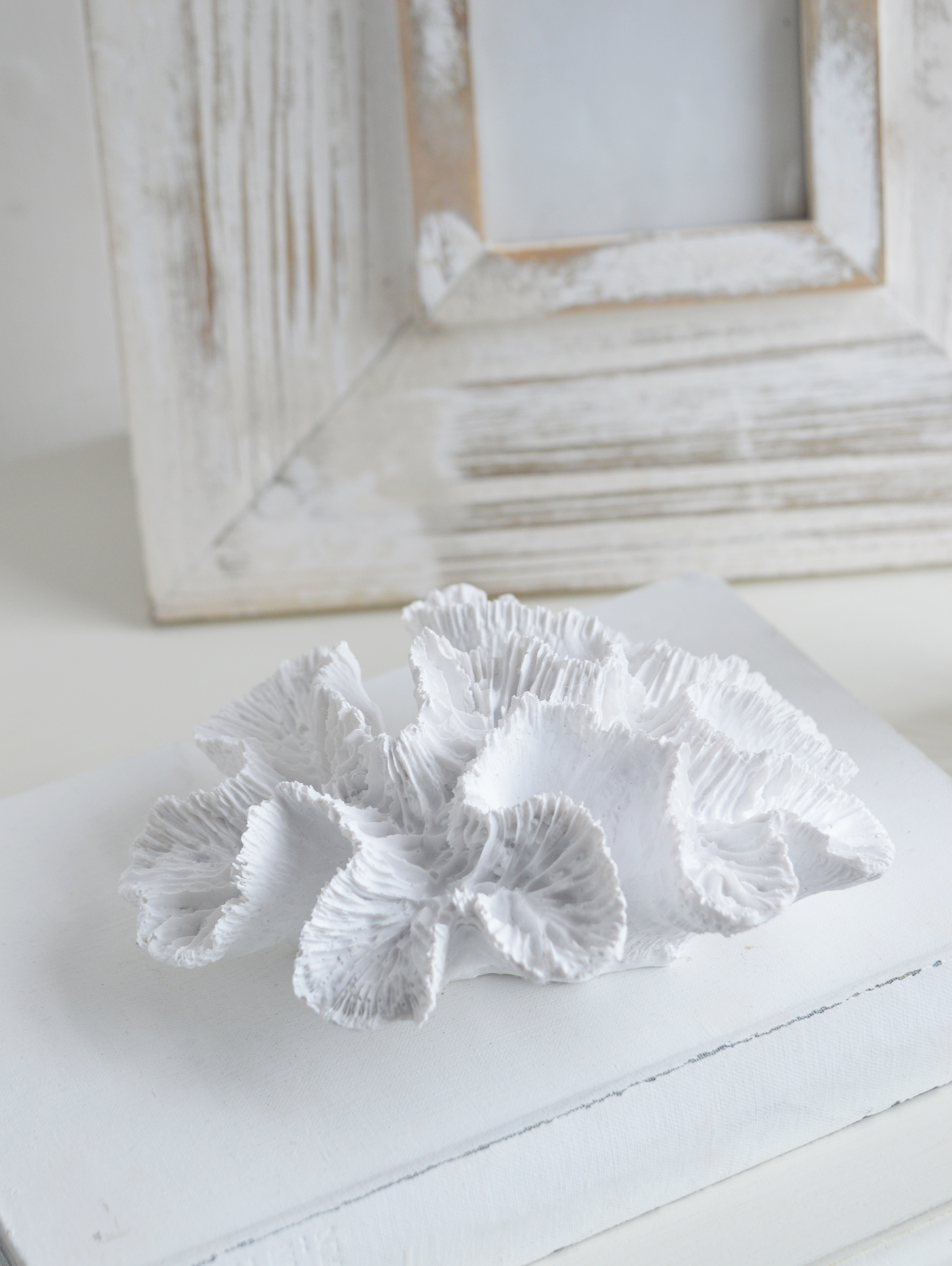 Decorative white faux coral to style and decorate Hamptons and New England coastal interiors