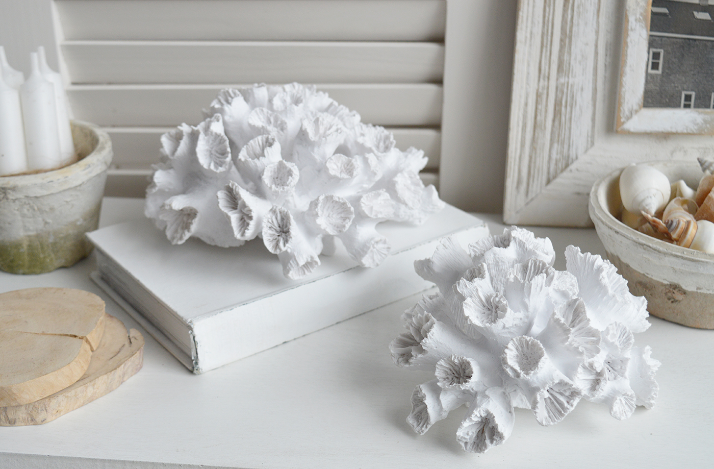 Decorative Faux White Coral - Coffee Table Decor Hamptons Coastal New England