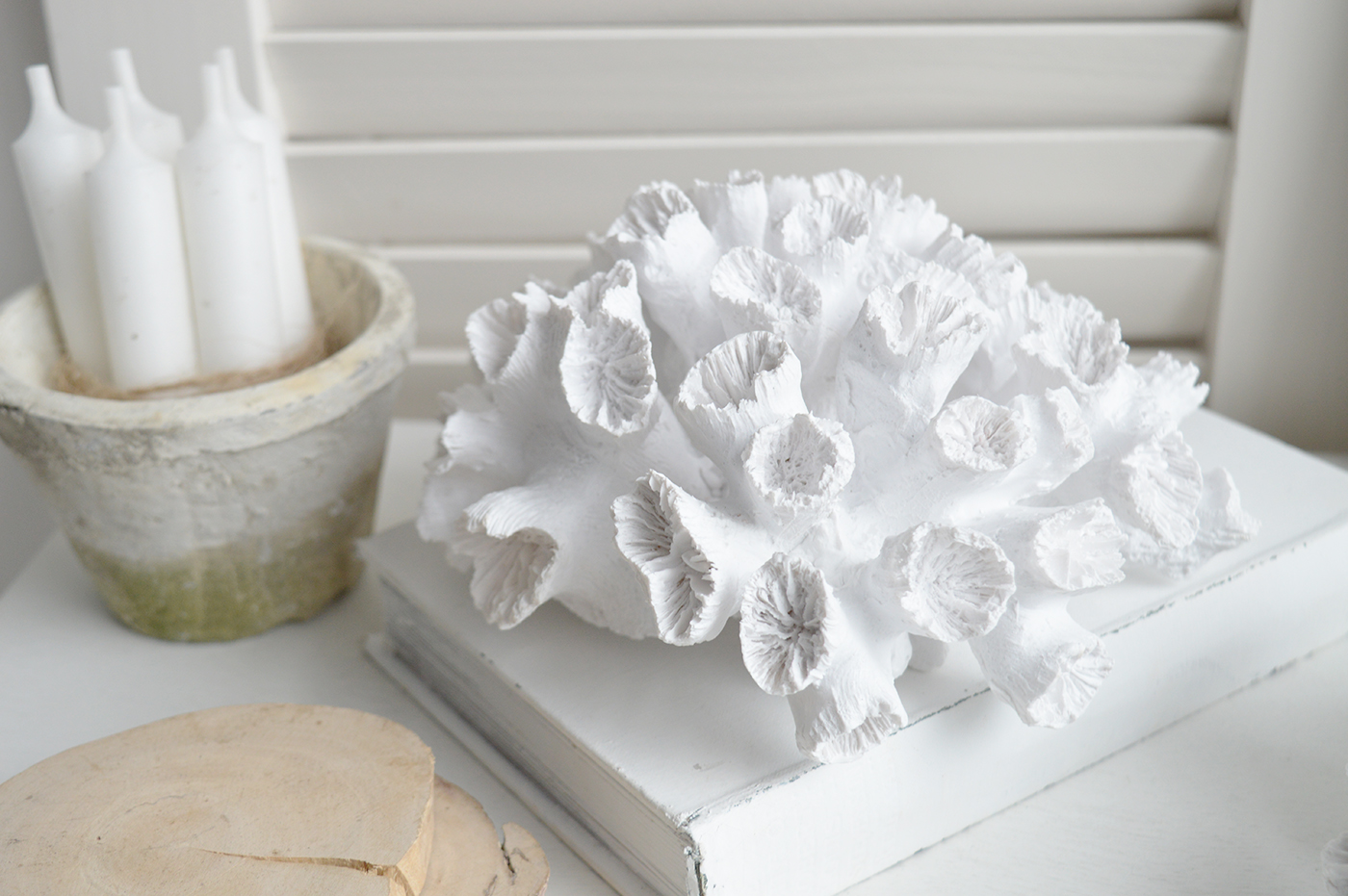 Decorative Faux White Coral - Coffee Table Decor Hamptons Coastal New England