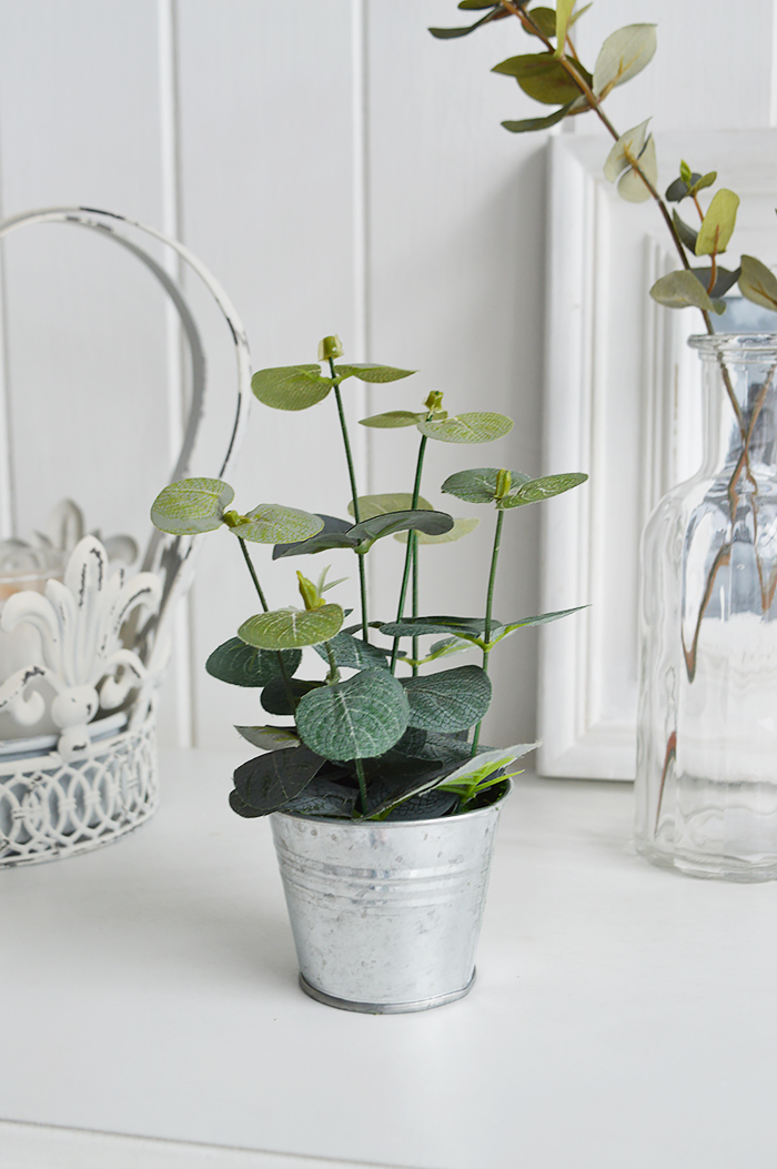 Artificial Eucalyptus in pot