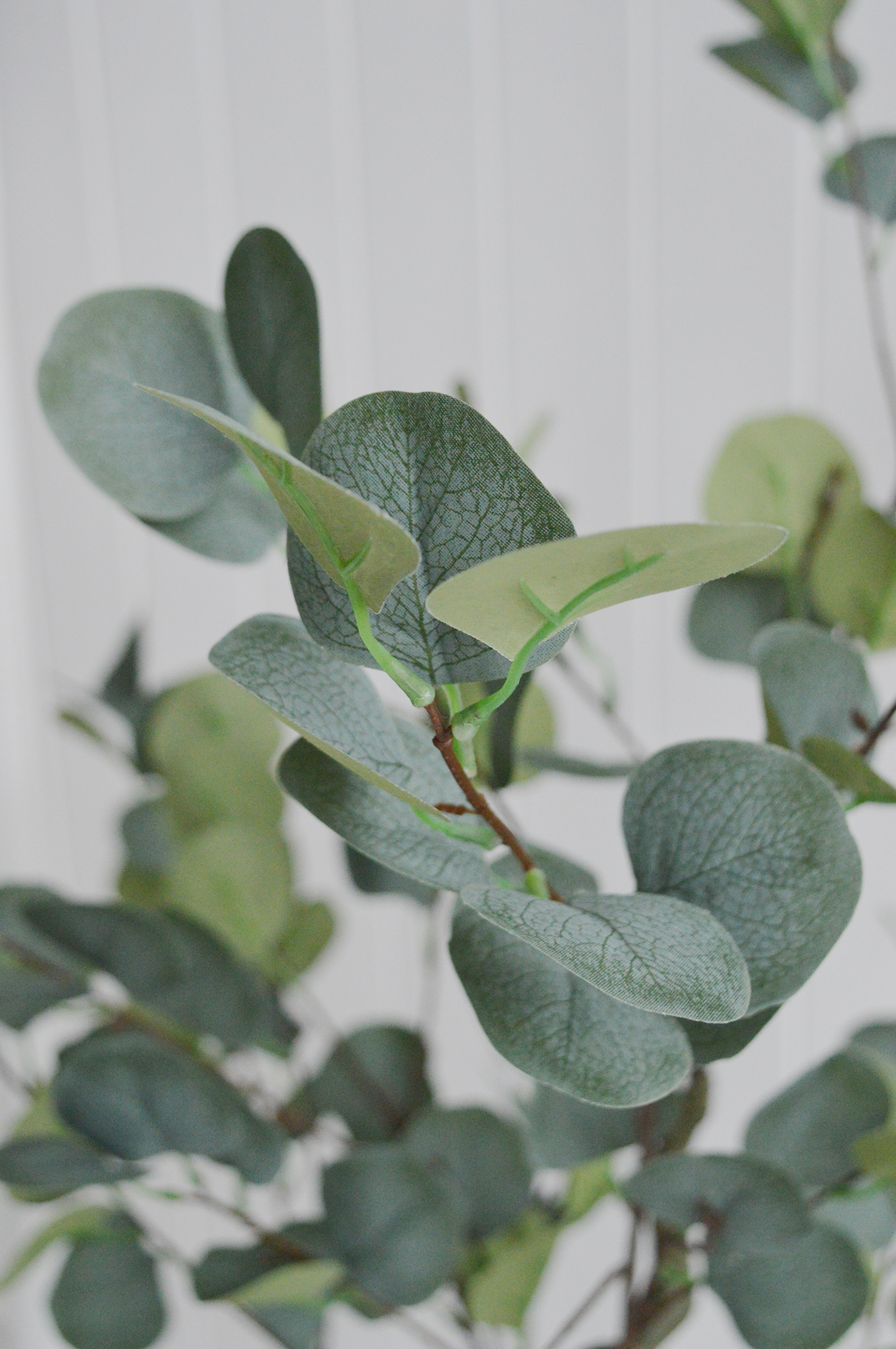 Artificial greenery faux Large and Small Eucalyptus tree from The White Lighthouse New England Country and Coastal Home Furniture and Interiors