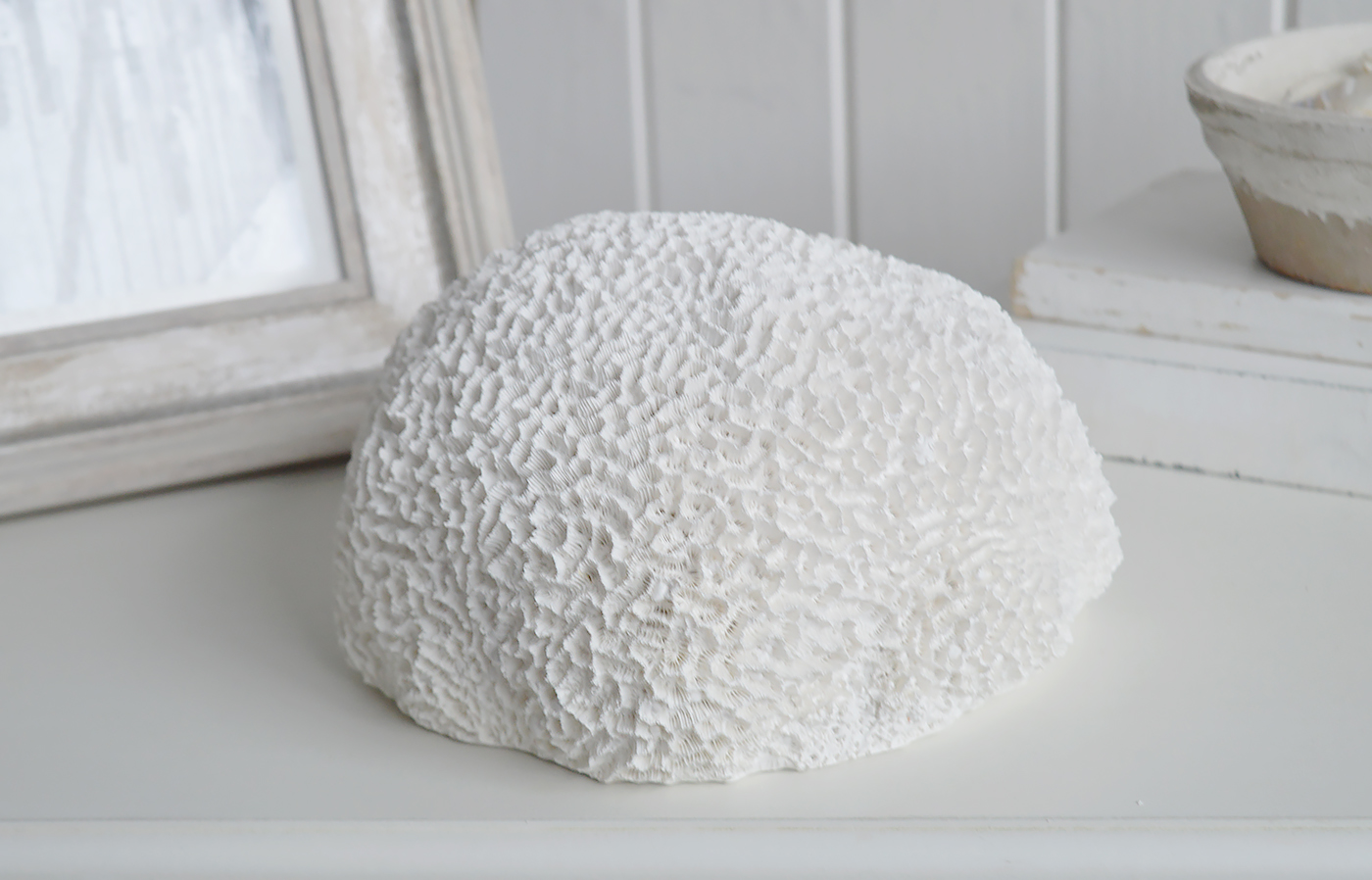 With its natural white finish and realistic texture, it adds a touch of seaside elegance to shelves, mantels, and side tables.