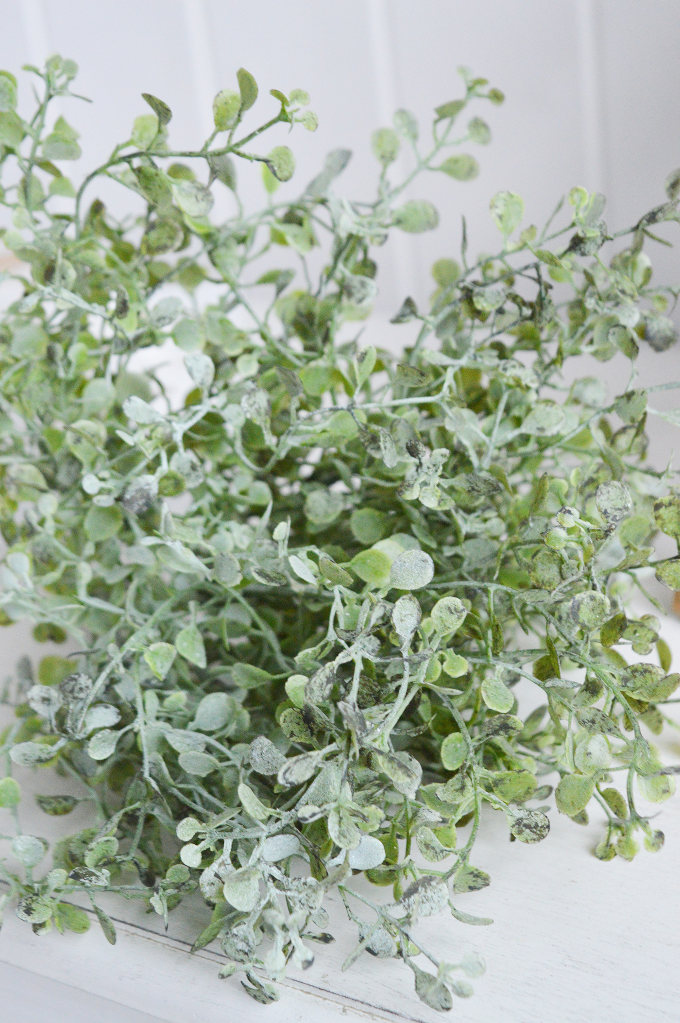 Faux greenery Eucalyptus gunnii  for styling New England style  interiors. Farmhouse, country, coastal and city homes