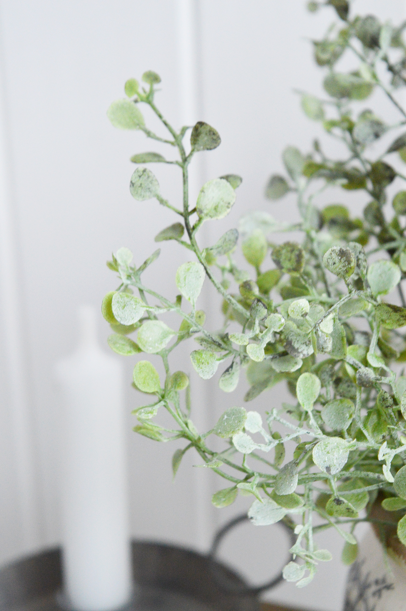 Faux greenery Eucalyptus gunnii  for styling New England style  interiors. Farmhouse, country, coastal and city homes