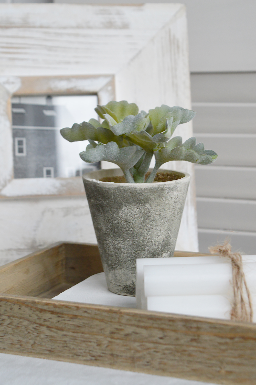 Faux Potted Succulent Plant - New England Coastal , Farmhouse and Country Interiors