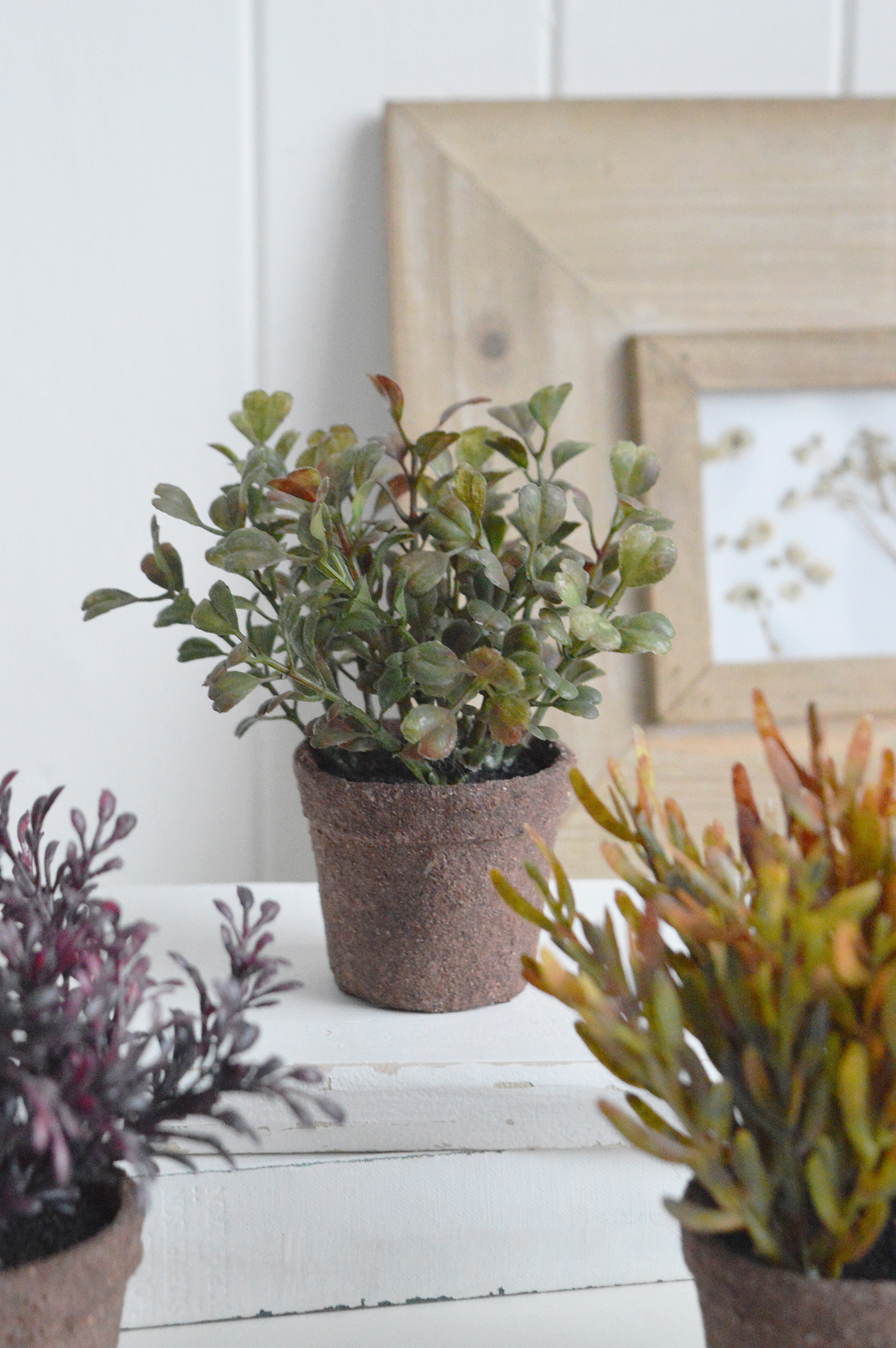 Ideal for styling throughout the home, this trio of faux succulents adds warmth and softness to neutral decor schemes all year round.