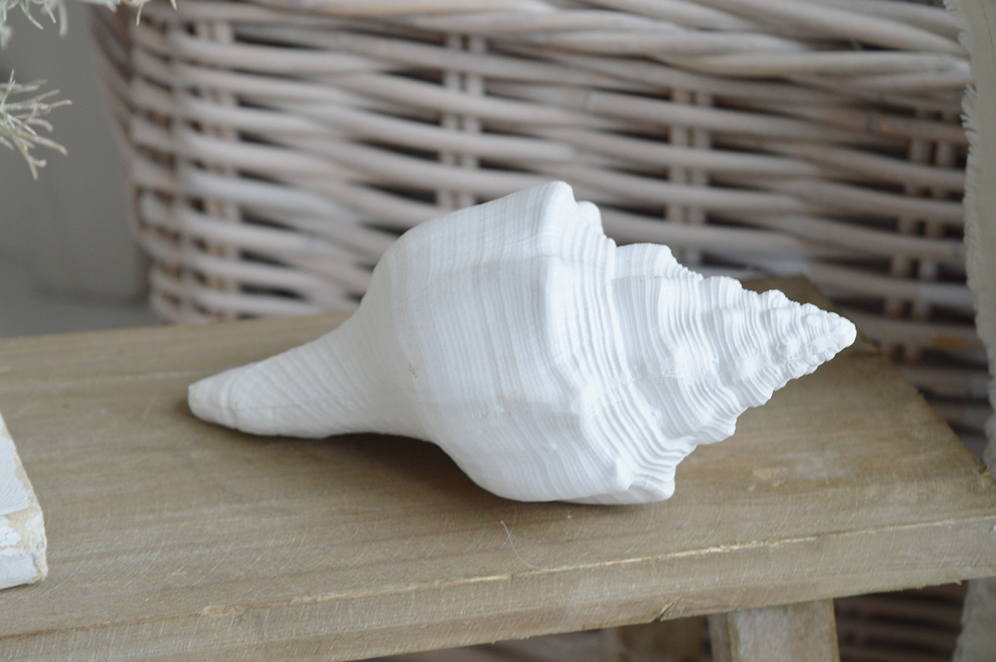 New England beach house shelf styling with a white resin conch shell, vintage coastal books