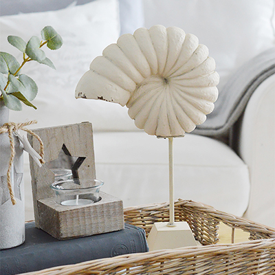 Standing shell for coastal coffee table decoration 